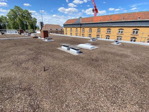Neustadt Mainz